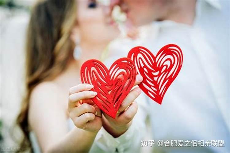农历12月出生属马人命好吗
