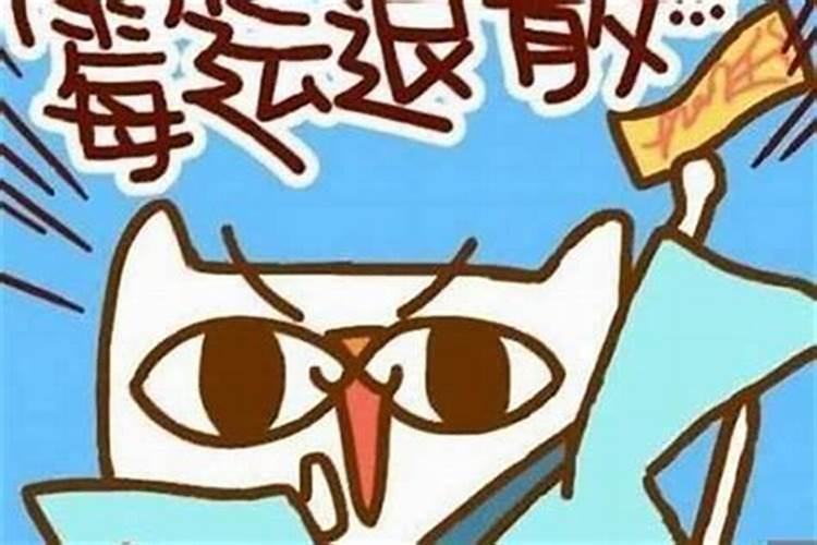 梦见骑车撞到别人的车是什么预兆？