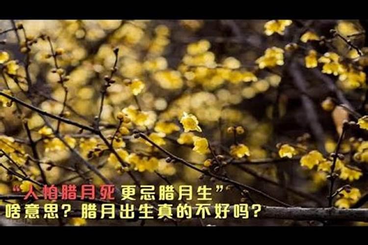为什么古人说六月出生的孩子有福气,而腊月出生的没福气？