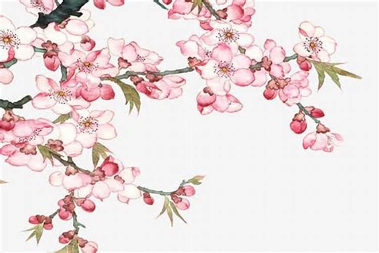 带桃花煞的女人
