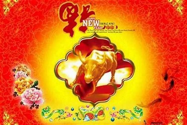 梦到死老鼠是什么意思