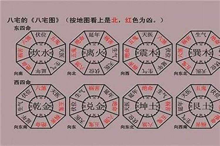 2025年犯太岁的生肖猪怎么化解2025年犯太岁的生肖猪怎么躲星