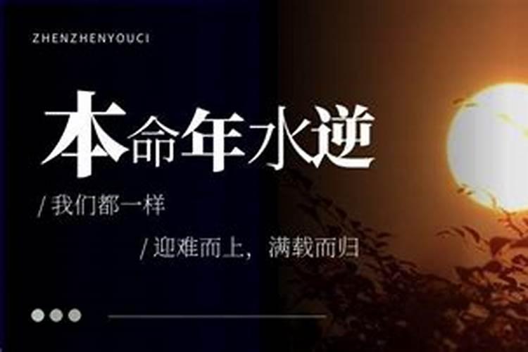 2024年水逆的生肖