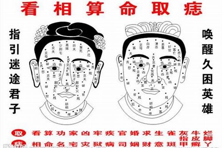 算命包括哪些