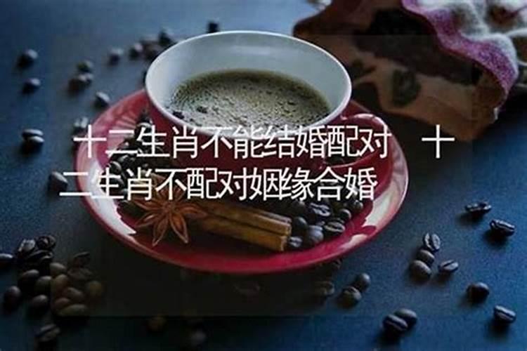 农历十月初一什么日子