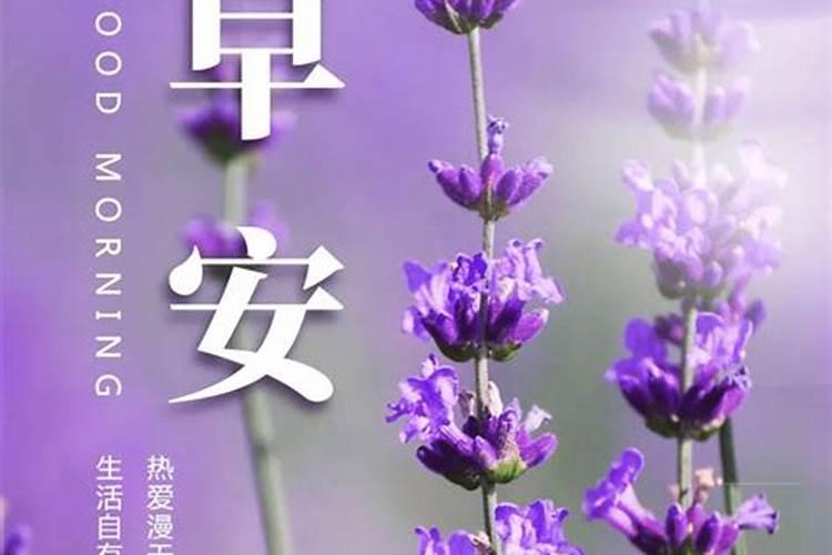 算命师说我和男朋友八字不合,不能在一起,能信吗？