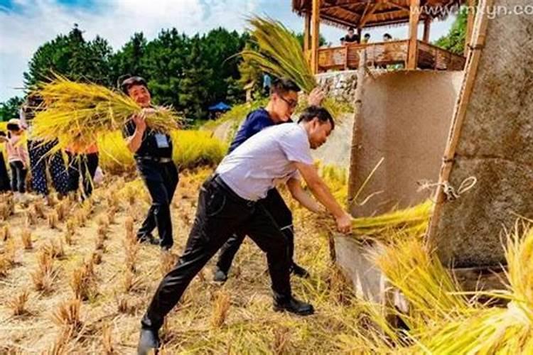96年属鼠男今年运气如何