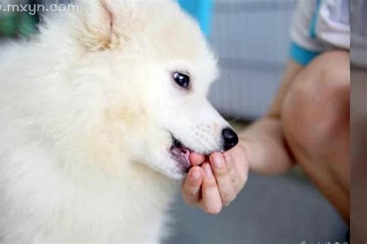 冬至是每年的几月几日前后