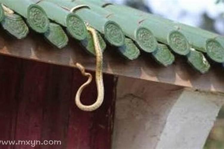 本命佛是朱砂好还是黑曜石好？你更偏爱哪一个？