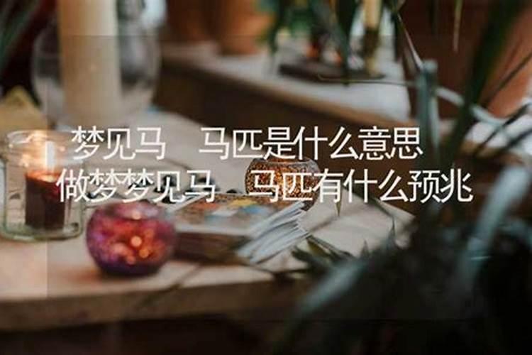 梦见马惊了是什么意思？