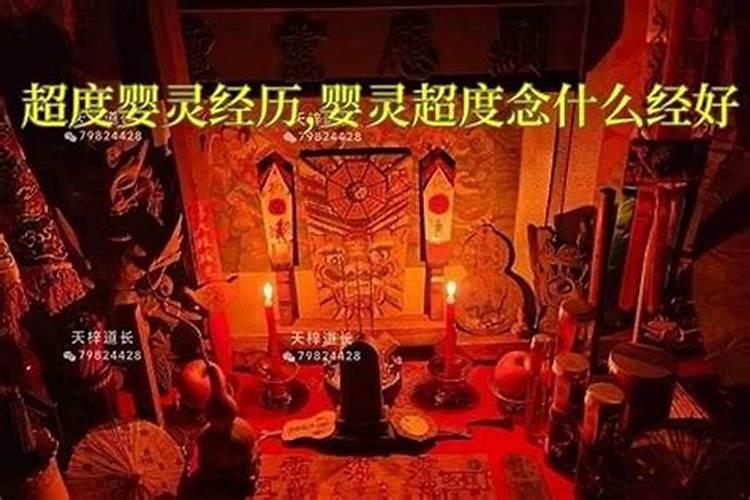 生肖鼠1984年2025年运势如何 生肖鼠1984年2025年全年运势
