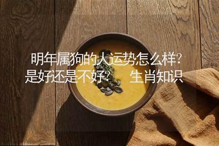 狗年哪些生肖犯太岁