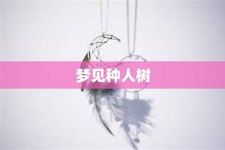 梦见与死了的人一起开垦荒地是为什么呢？