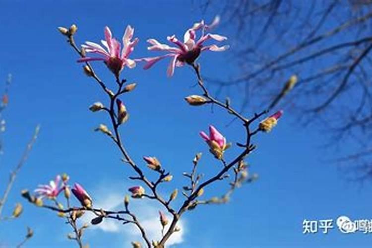 生辰八字查询