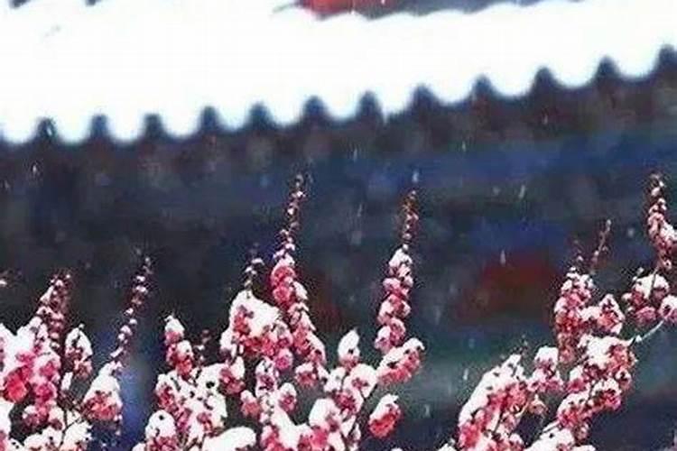 山亭有什么好玩的景点