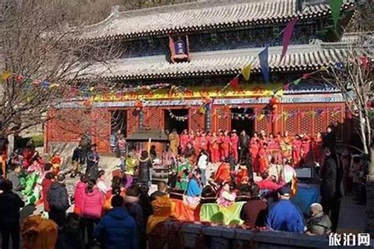 属猪2025年犯太岁怎么化解
