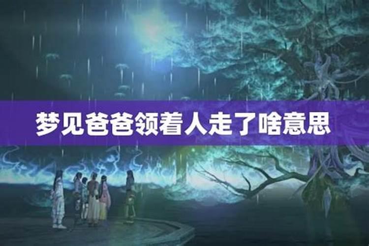 生肖马的幸运数字