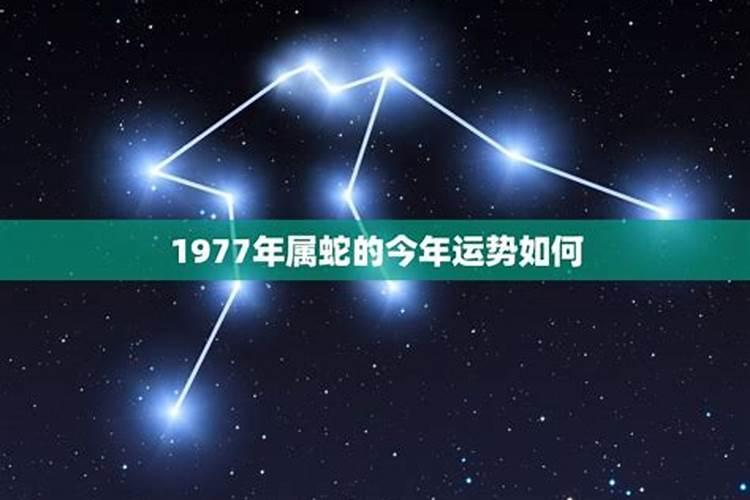 1987年正月初五午时。这个八字是正官格,还是正印格。最好有八字详解...