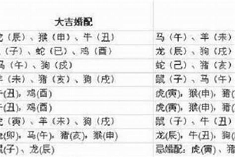 出道弟子的婚姻都是上天选的吗？