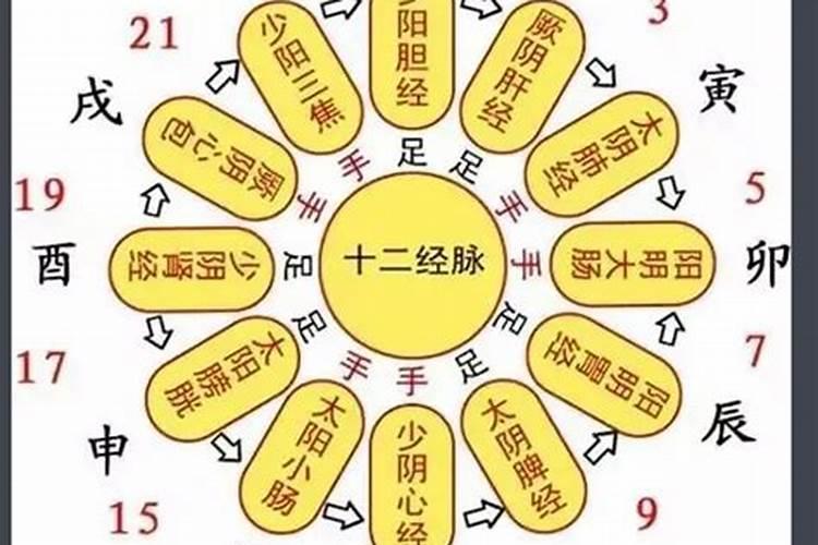 算八字是什么意思？