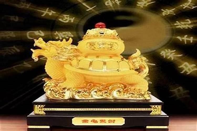 属龙养什么最旺财