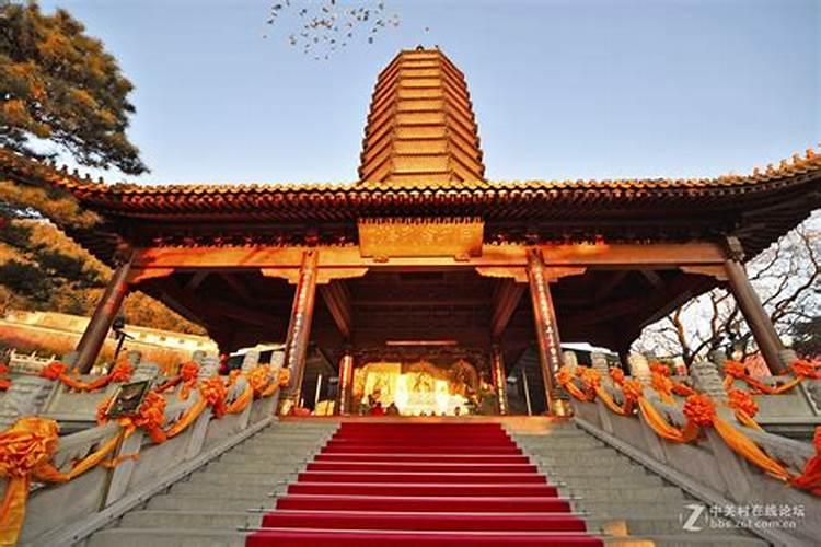 不同年份属鸡的人2024年运程