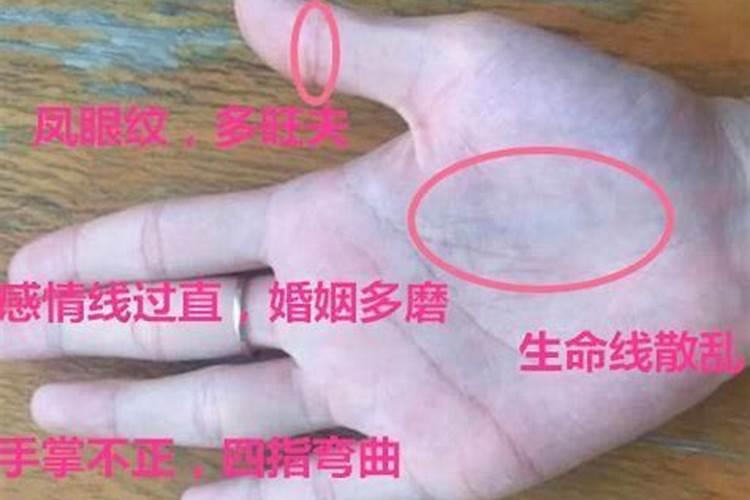 属猪腊月二十八出生命运如何宝宝性格分析？