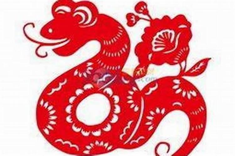 命带华盖的男人