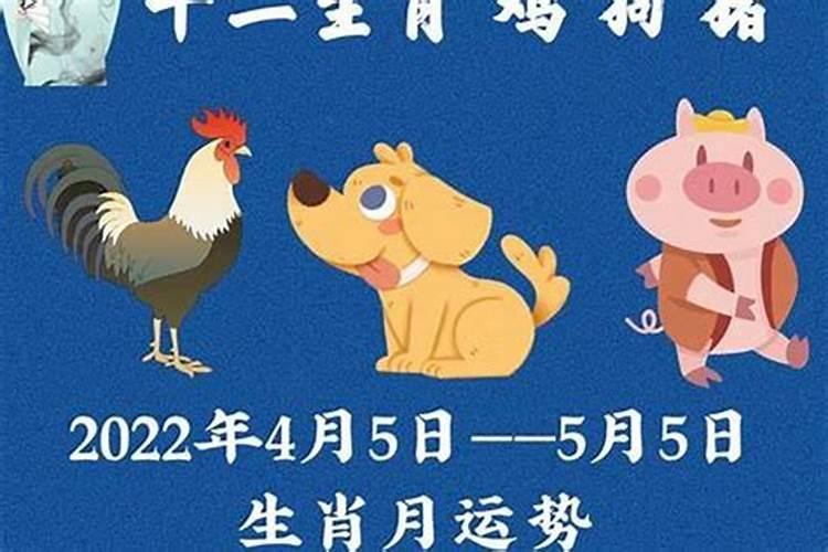 2025属猴犯太岁佩戴什么
