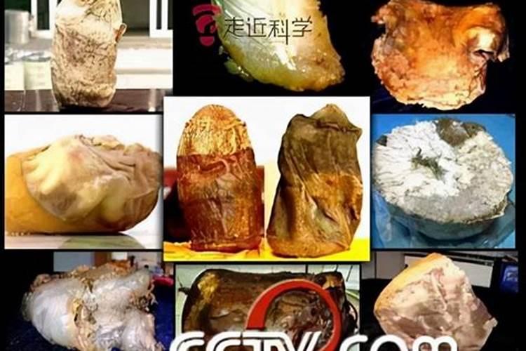 2025年蛇年犯太岁的四个属相怎么化解