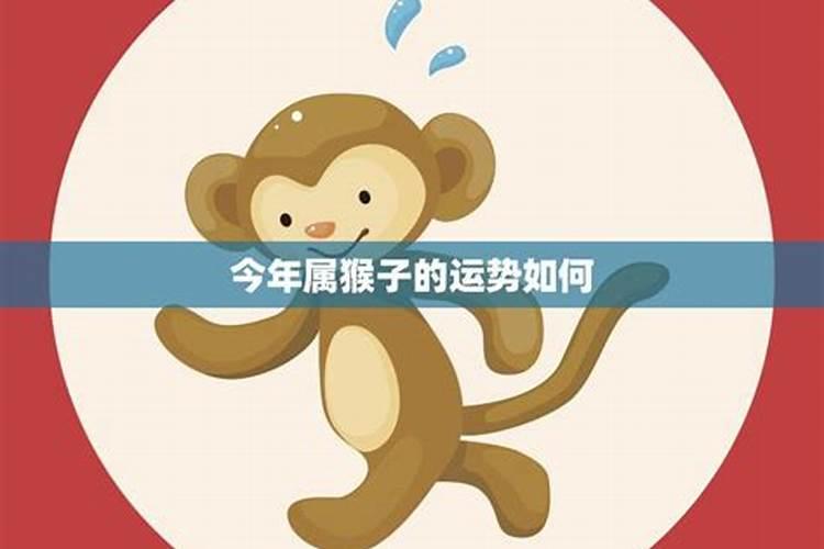 太岁锦囊怎么用呢？