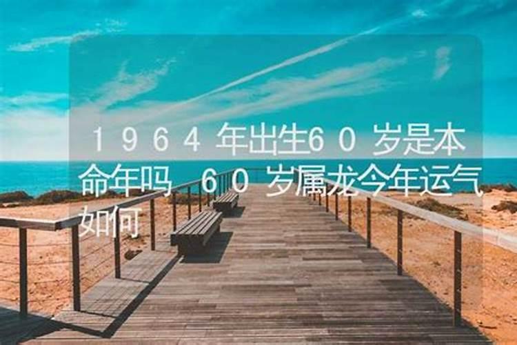 2025年属牛人一整年运势