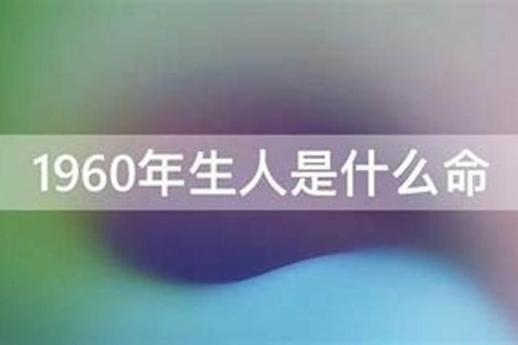 2025年4月4日生肖运程