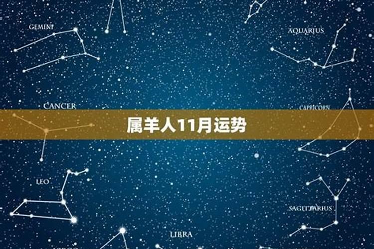79年羊女在2025年运势完整版