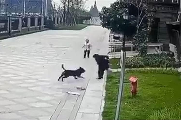 梦见仇人主动前来和好