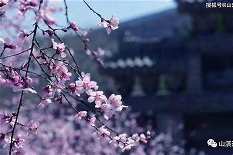 2025年属蛇的本命年为什么不能穿红