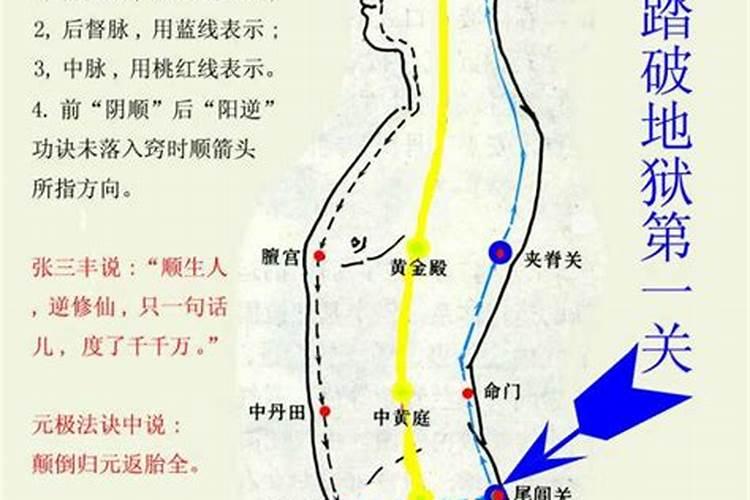 邪骨和仙骨有什么区别啊？