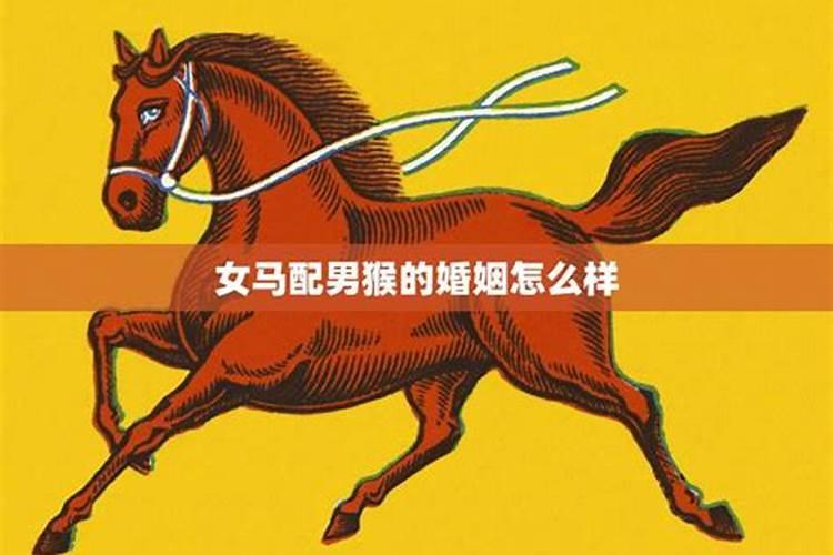 男猴女马婚姻是否相配