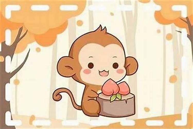 属虎与什么属相八字不合 生肖虎和生肖猴