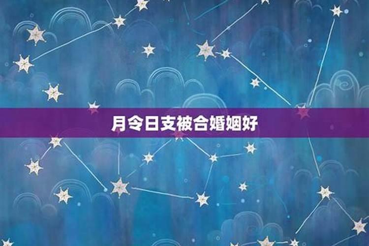 属猪之年命运解析与运势展望