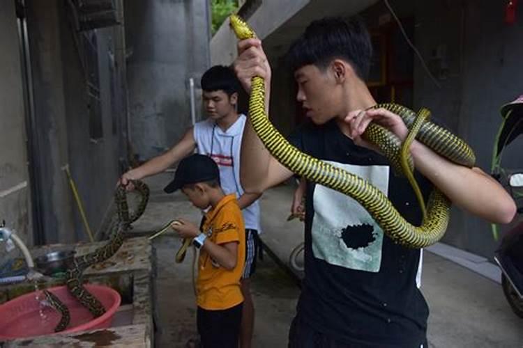 妈妈梦见儿子被蛇咬好不好？