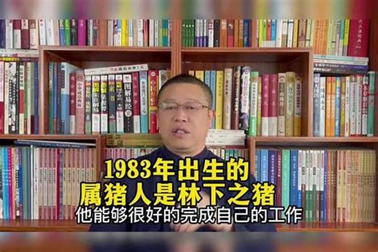 1983年2024年属猪人的全年运势(83年猪40岁后十年大运运程)