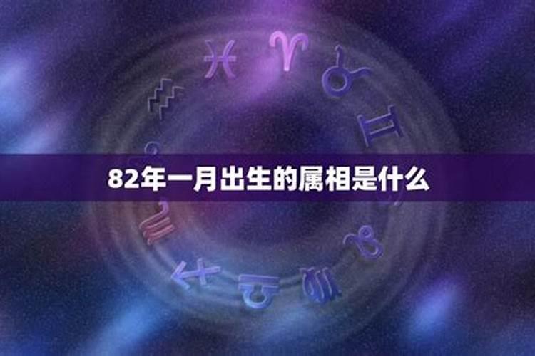 生肖鸡2024年十二个月运详解