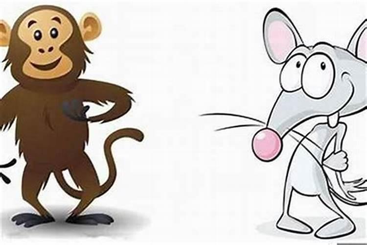 就是这么耿直,性子直有话直说的生肖有哪些,你知道吗？