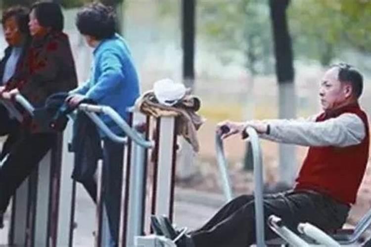 鼠娶虎好吗 男鼠女虎相冲吗
