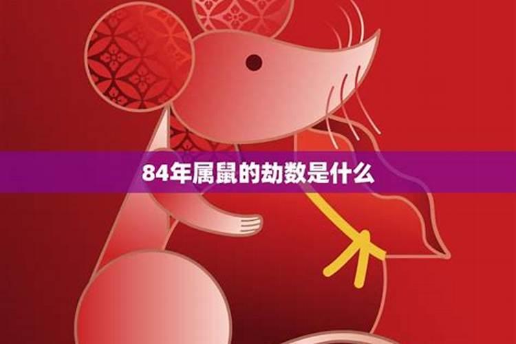 生肖羊2025年运势 属羊2025年运势及运程