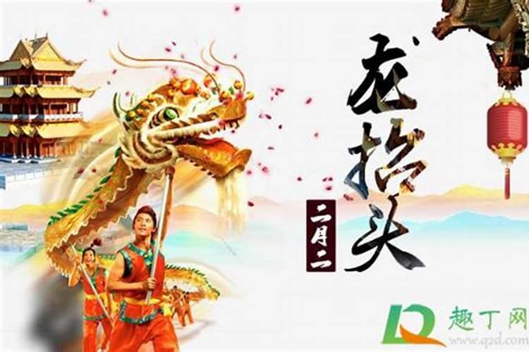 清明节上坟买什么颜色的花
