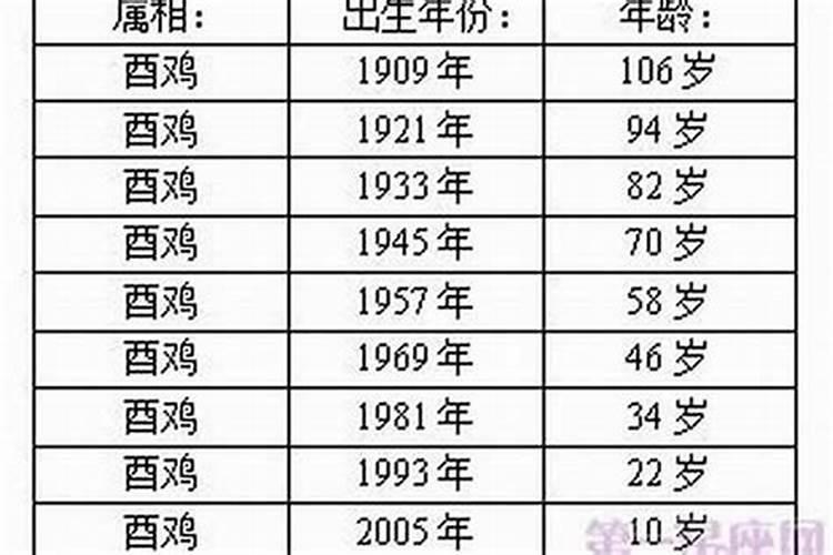 属马的今年运气