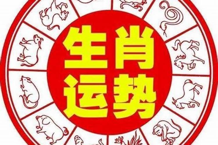 生肖龙1976年2025年运势如何 生肖龙1976年2025年全年运势