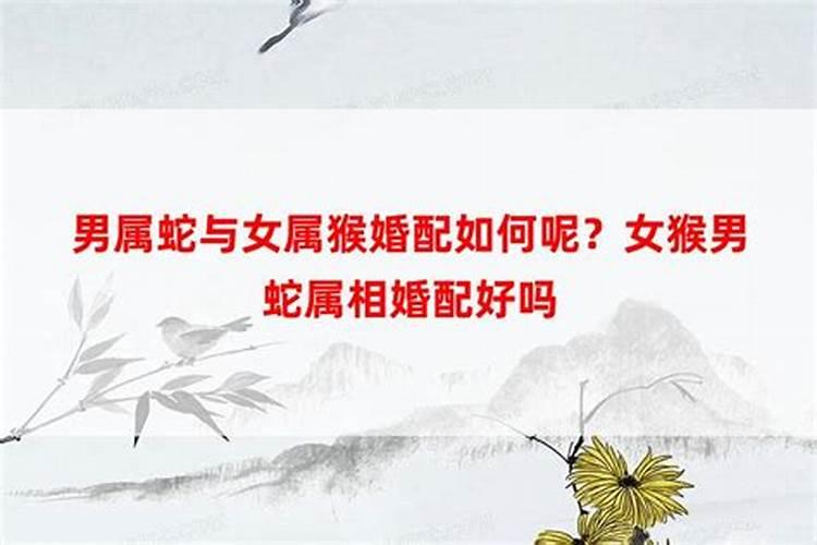 农历腊月十四出生的男孩起名新生儿五行属土的名字